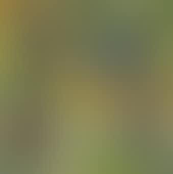 Stilleben mit Akt, Kachel und Früchten (recto); Kurische Waldlandschaft (verso) (preview)