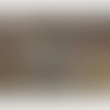 Bird (preview)