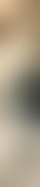 Lotus (preview)