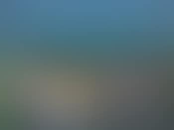 Sommerliche Seeuferlandschaft (preview)