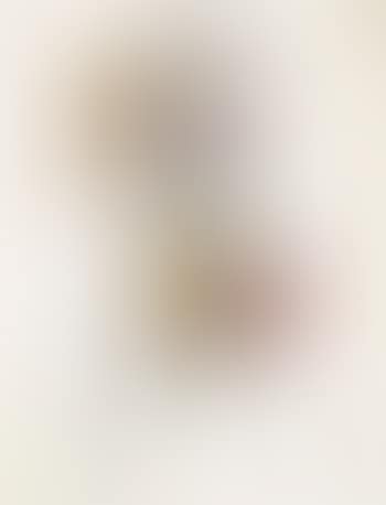 Toreau (preview)