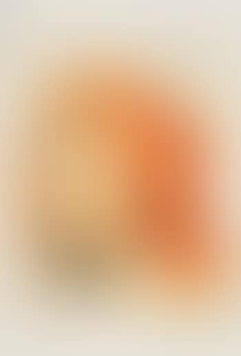 Jeune fille au turban orange (preview)