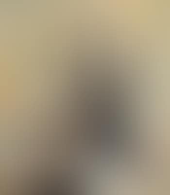 Alte Arve (preview)