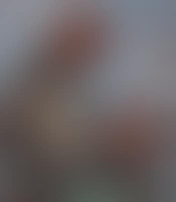 Der Schumacher (preview)