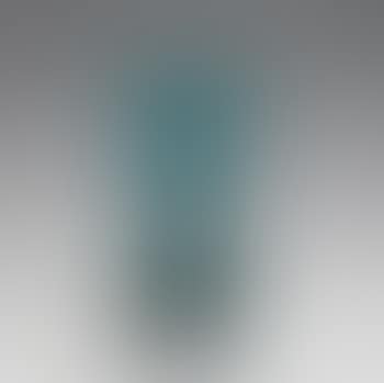 'Anemones' Martelé vase by Daum (preview)