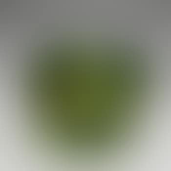 'Sabot de Vénus et coprins' vase (preview)