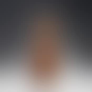 Tall 'Lys tigré' vase (preview)