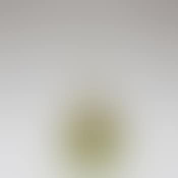'Adiante' soliflor (preview)