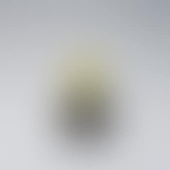 'Cinéraires' vase (preview)