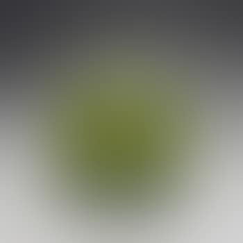 Vase (preview)