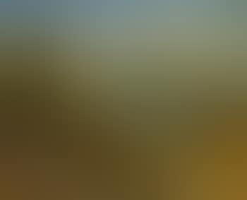 View of the Elbe near Blankenese (preview)