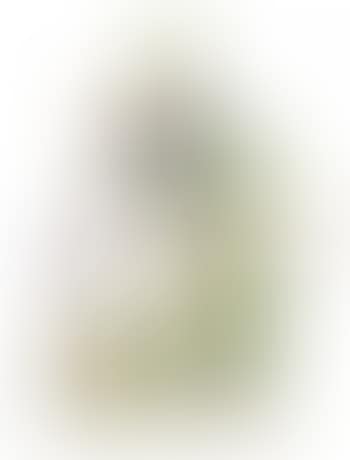 Archivarius Lindhorst by Willi Munch-Khe (preview)