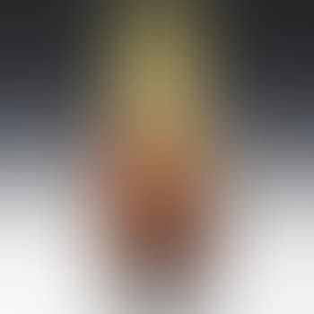 Japanese apricot vase (preview)