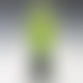 Fleur de pomme de terre vase (preview)