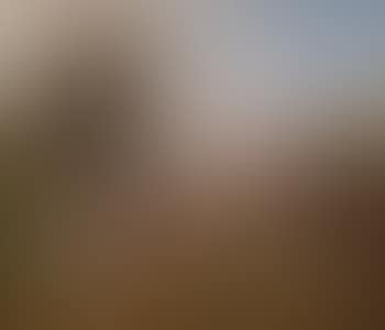 Fantasia devant le Sheikh (preview)