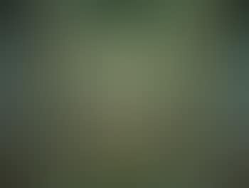 Untitled (Foliage) (preview)