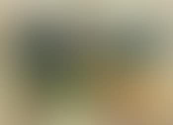 Paysage aux meules de foin (preview)