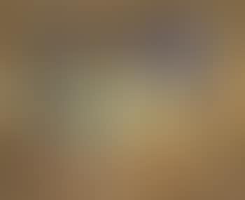 Paysage de Provence (preview)