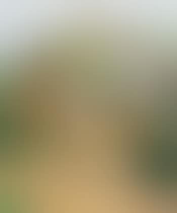 Village (preview)