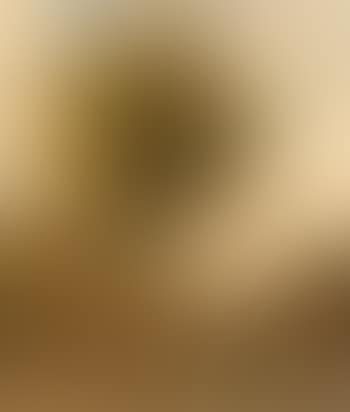 Farmyard (preview)