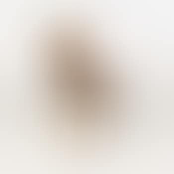 Chaise by Edward Wormley (preview)