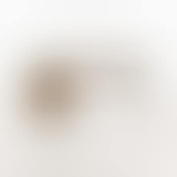 Bureau (preview)