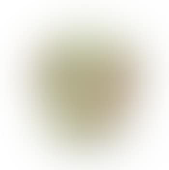 An Apple (preview)