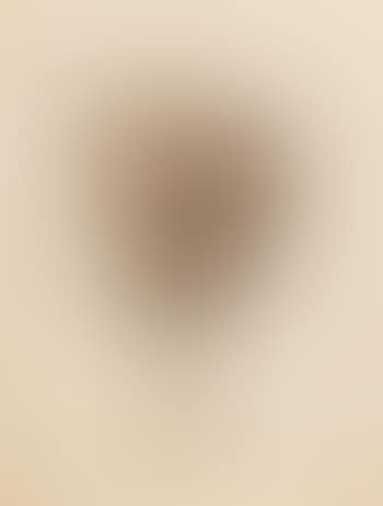 Portrait of a Man (preview)