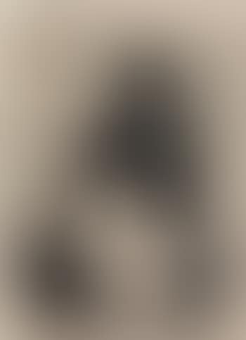 Arv (preview)