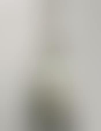 Pittura da cavalletto, bianconero (preview)