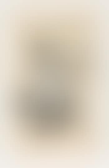 Woman in frilled dress (preview)