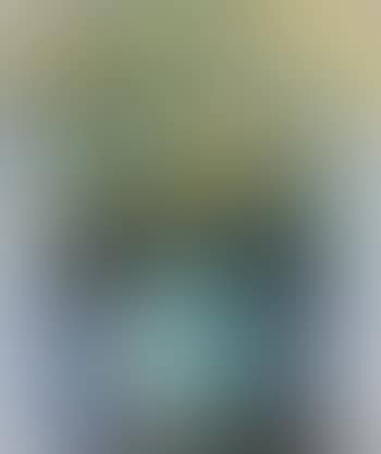Blue Vase, Yellow Flowers (preview)