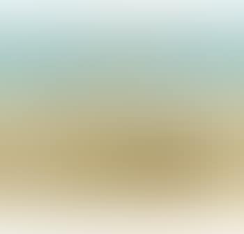 Wimmera Landscape with White Cockatoo (preview)