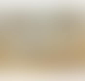 Bush Landscape (preview)
