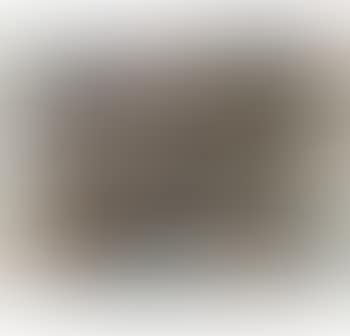 Find the children (preview)