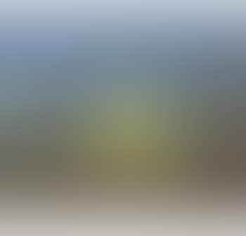 Yellow Nebuchadnezzar Running in a Hilly Landscape (preview)