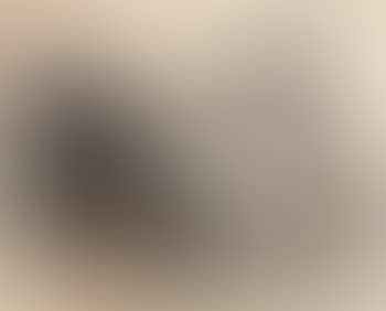 Paresse (preview)