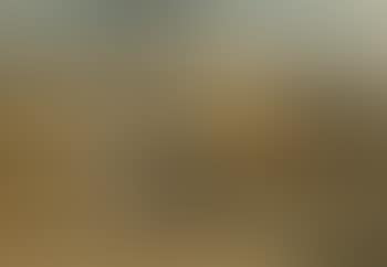 Liggend naakt op het strand (preview)