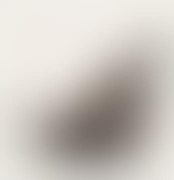 Composition (preview)