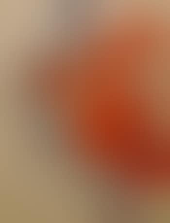 Composition (preview)