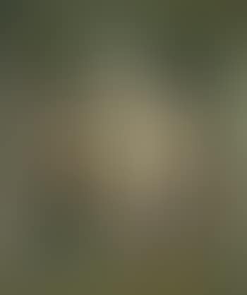 Akte im Wald (preview)