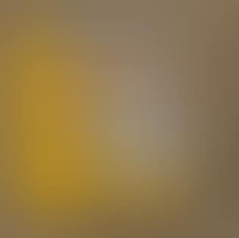 Project for yellow store front (preview)