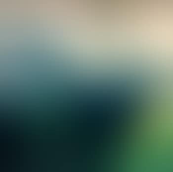 Paesaggio (preview)