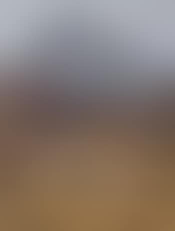 Edinburgh Castle (preview)