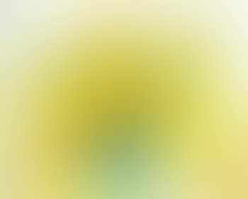 Fleurs (preview)
