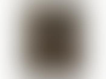 Still Life on a White Chair (preview)