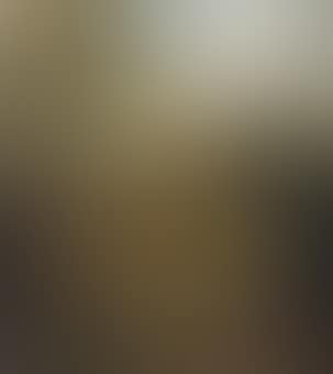 Boomrijk landschap met boerewoningen: a wooded landscape with shepherds (preview)
