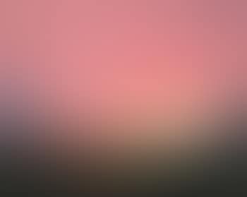 [Untitled] (preview)