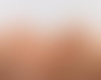 Marilyn, The Last Sitting (preview)