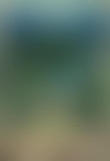 Paesaggio collinare (preview)
